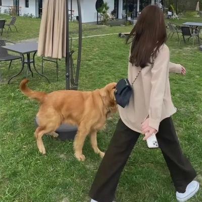 大小姐才不会玩格斗游戏
